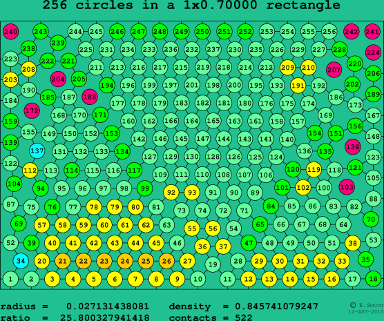 256 circles in a rectangle