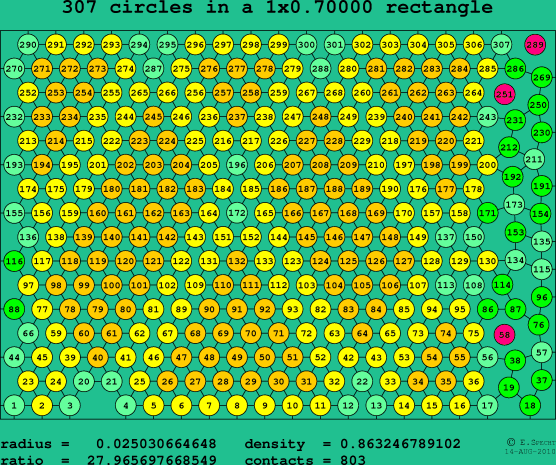 307 circles in a rectangle