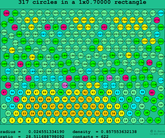 317 circles in a rectangle
