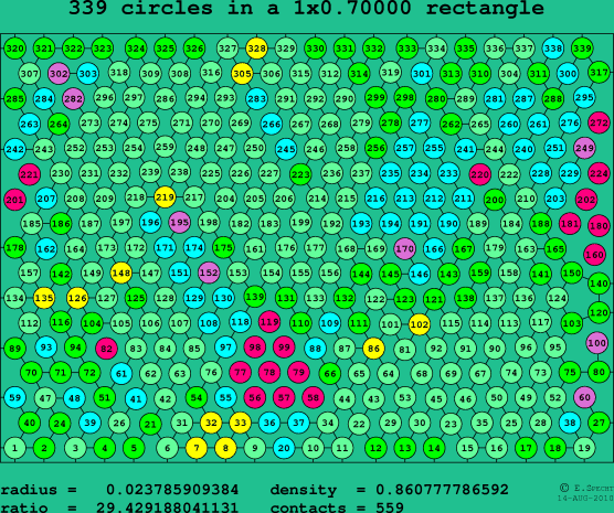 339 circles in a rectangle