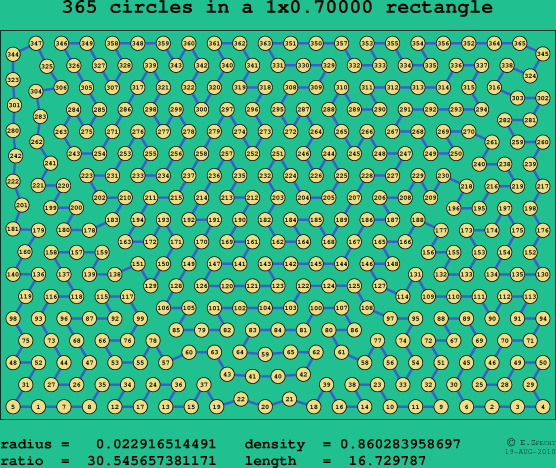 365 circles in a rectangle