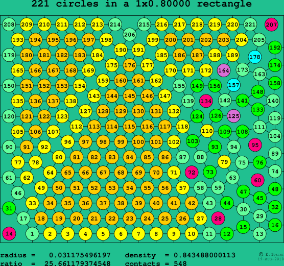 221 circles in a rectangle