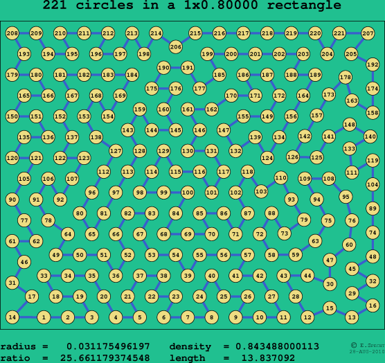 221 circles in a rectangle
