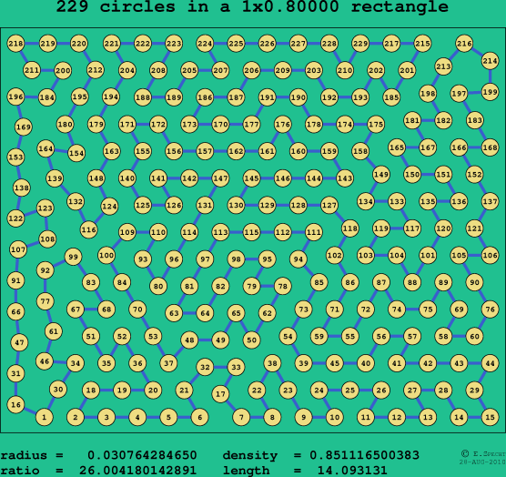 229 circles in a rectangle