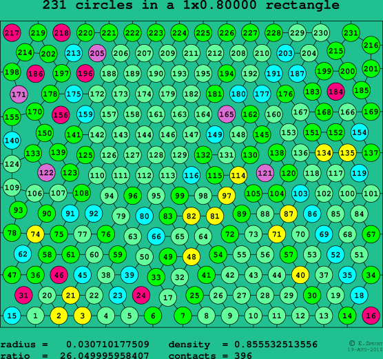 231 circles in a rectangle