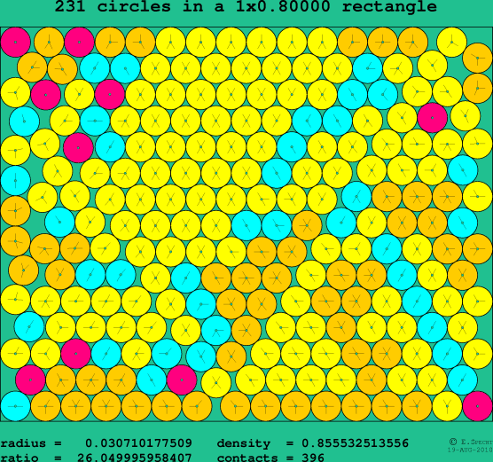 231 circles in a rectangle
