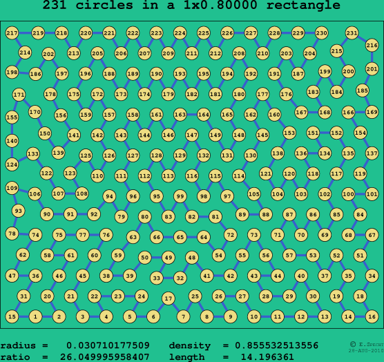 231 circles in a rectangle