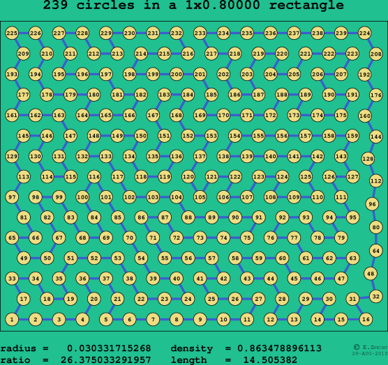 239 circles in a rectangle