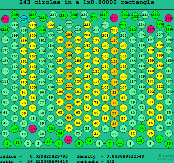 243 circles in a rectangle