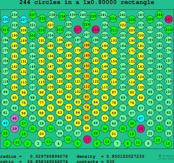 244 circles in a rectangle