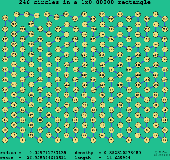 246 circles in a rectangle