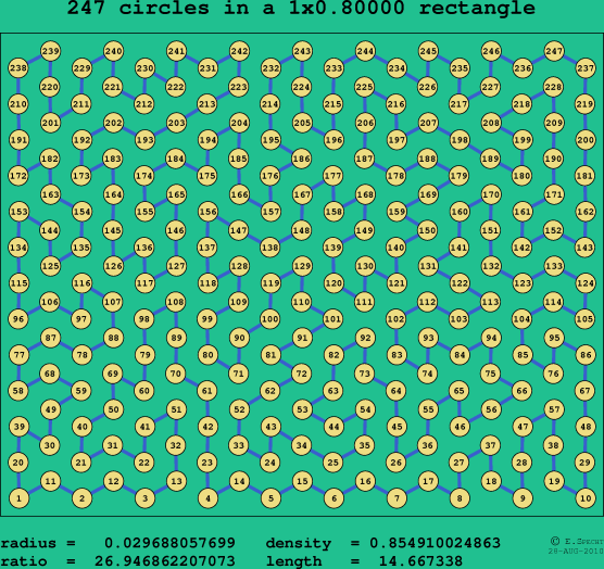 247 circles in a rectangle