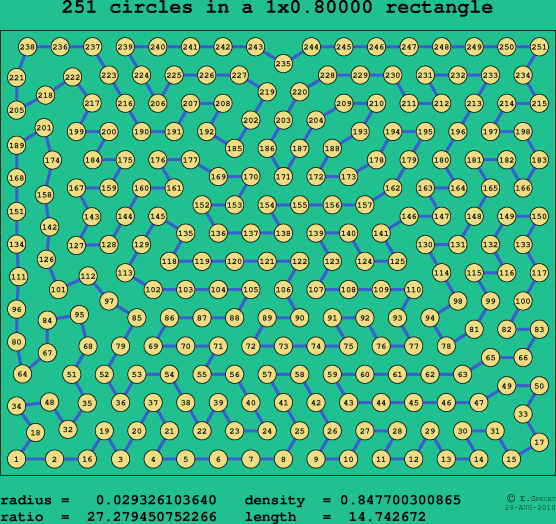 251 circles in a rectangle