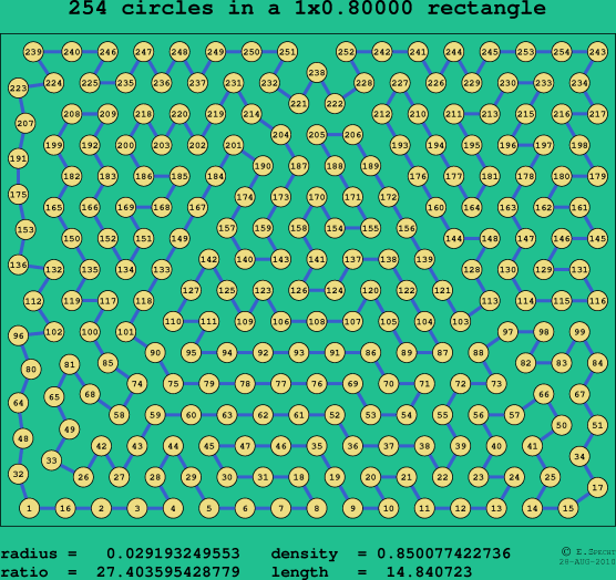 254 circles in a rectangle