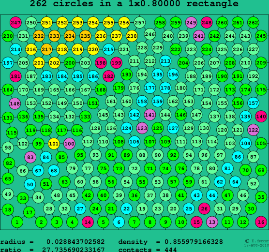 262 circles in a rectangle