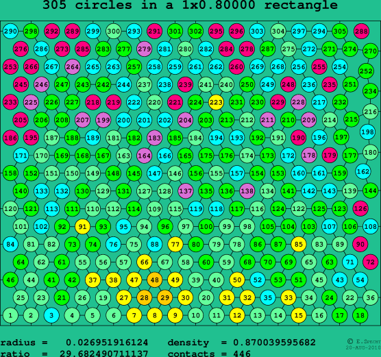 305 circles in a rectangle