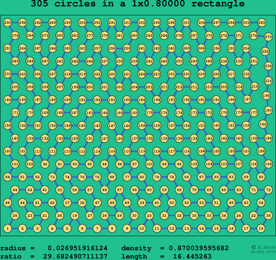 305 circles in a rectangle