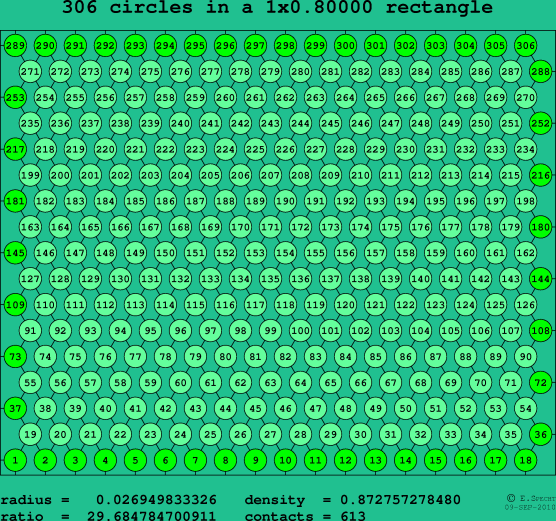 306 circles in a rectangle