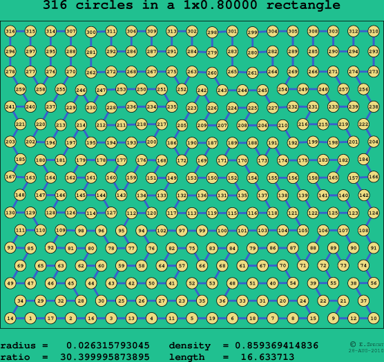 316 circles in a rectangle