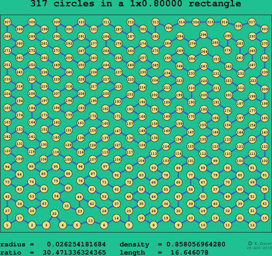 317 circles in a rectangle