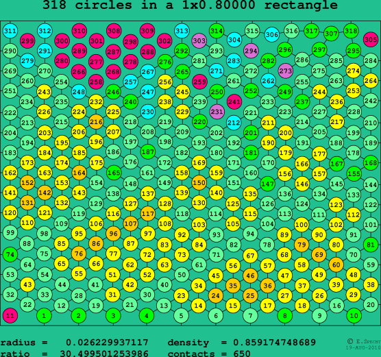 318 circles in a rectangle