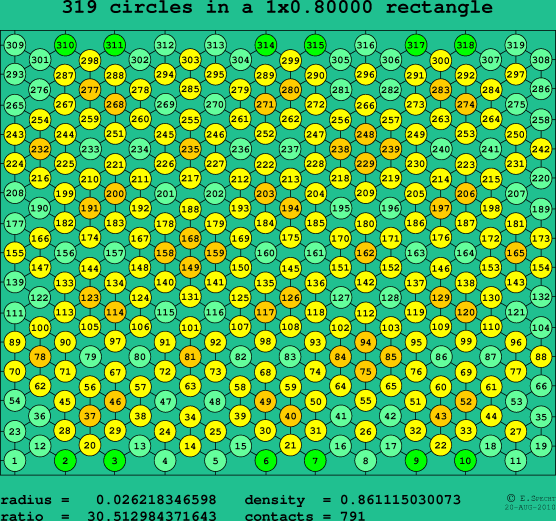 319 circles in a rectangle