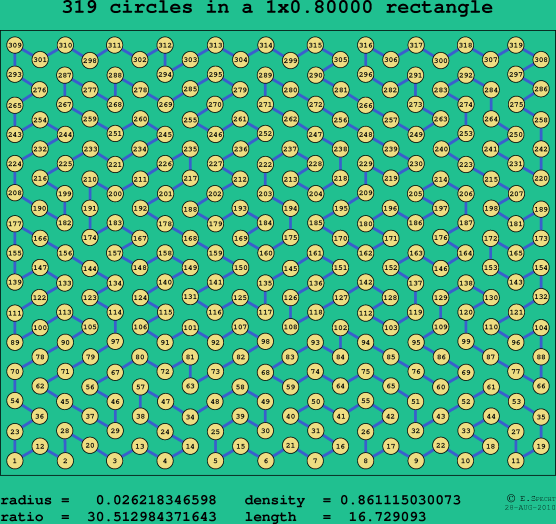 319 circles in a rectangle