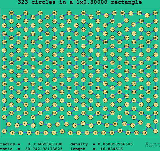 323 circles in a rectangle