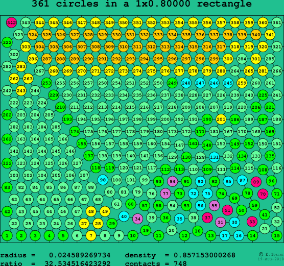 361 circles in a rectangle