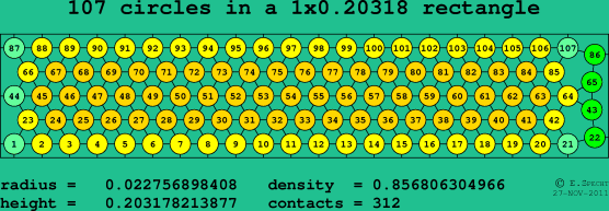 107 circles in a rectangle