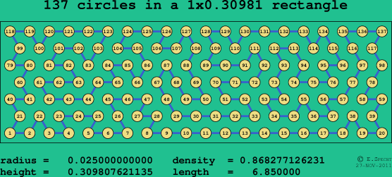 137 circles in a rectangle