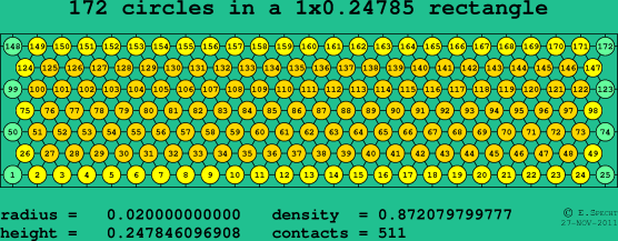 172 circles in a rectangle