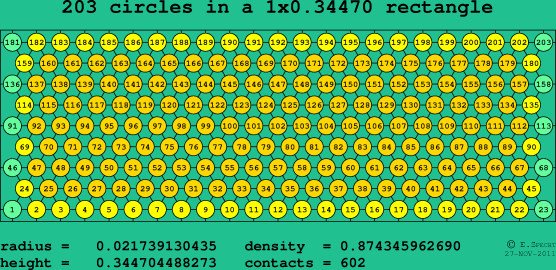 203 circles in a rectangle
