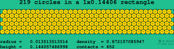 219 circles in a rectangle