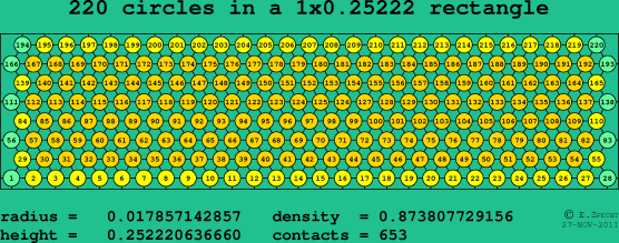 220 circles in a rectangle