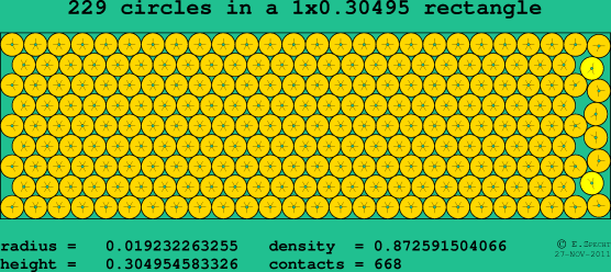 229 circles in a rectangle