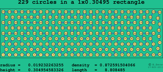 229 circles in a rectangle