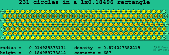 231 circles in a rectangle
