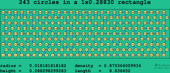 243 circles in a rectangle