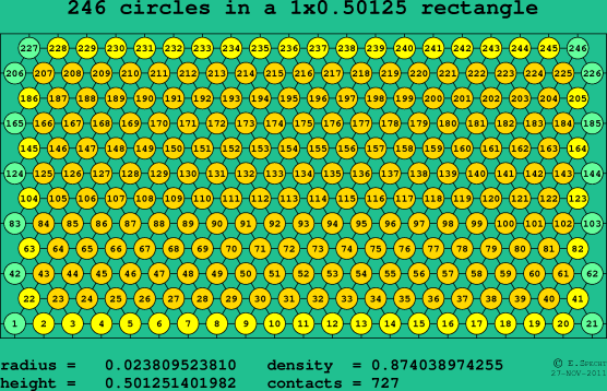 246 circles in a rectangle