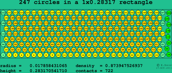 247 circles in a rectangle