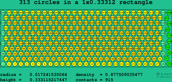 313 circles in a rectangle
