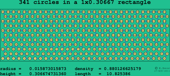 341 circles in a rectangle