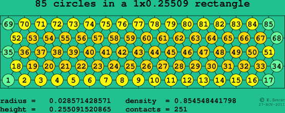 85 circles in a rectangle