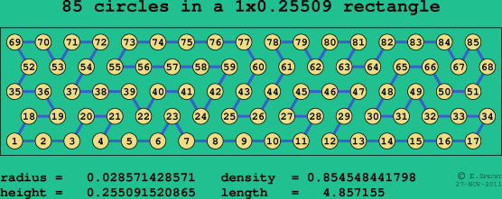 85 circles in a rectangle