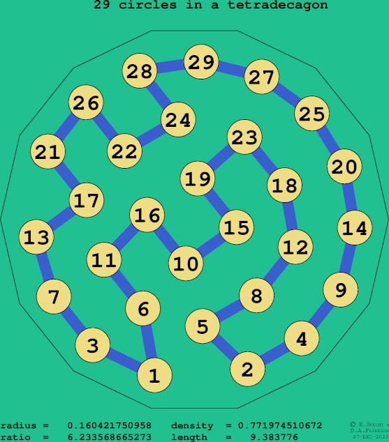 29 circles in a regular tetradecagon