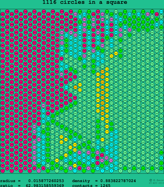 1116 circles in a square