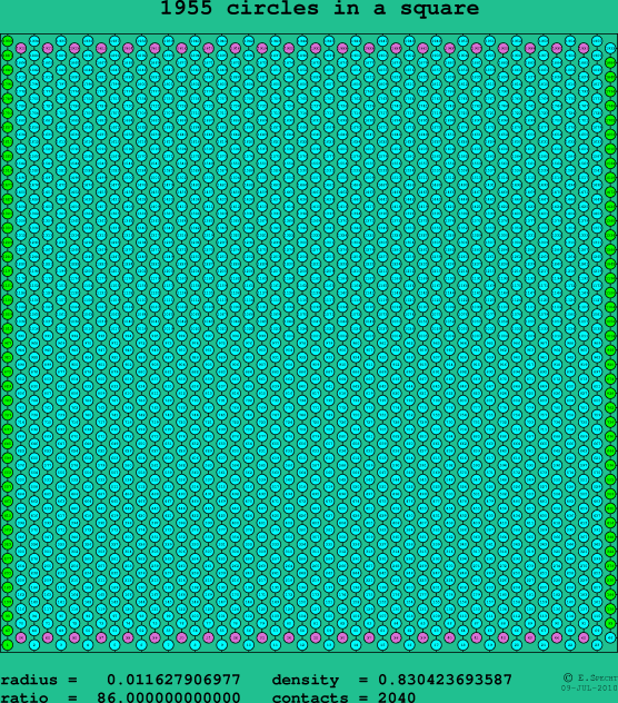 1955 circles in a square