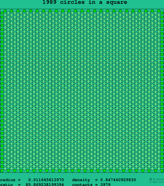 1989 circles in a square