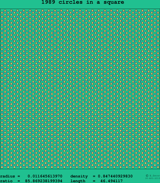 1989 circles in a square